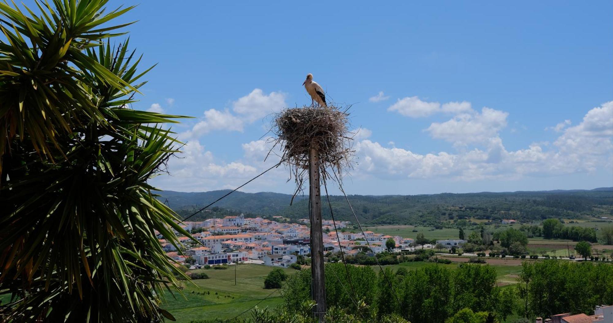 Casa De Malee Daire Aljezur Dış mekan fotoğraf